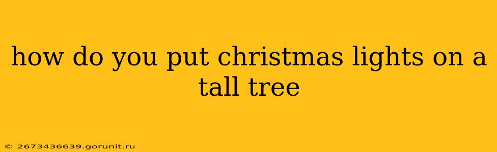 how do you put christmas lights on a tall tree