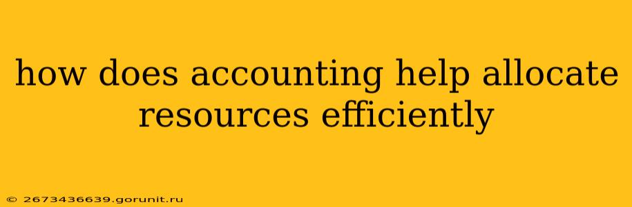 how does accounting help allocate resources efficiently