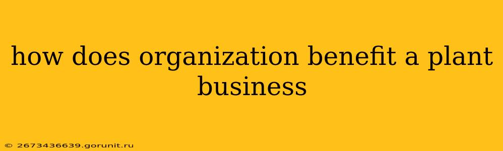 how does organization benefit a plant business