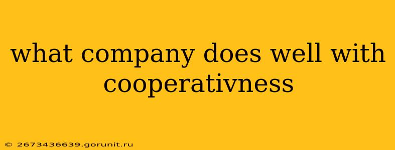 what company does well with cooperativness