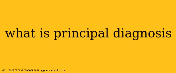 what is principal diagnosis